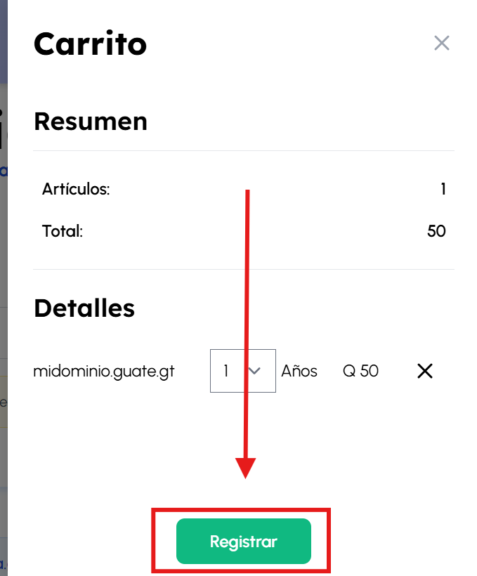 Resumen de carrito o Panel de carrito de Dominios.gt